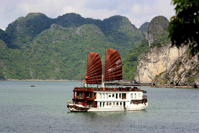 Du thuyền Hạ Long Violet Cruise Du thuyền Hạ Long Violet Cruise