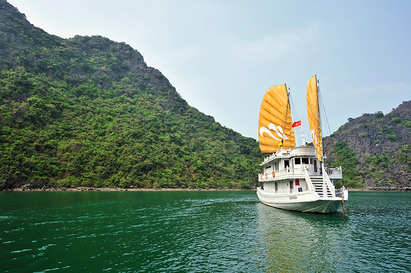 Du thuyền Paradise Privilege Cruises